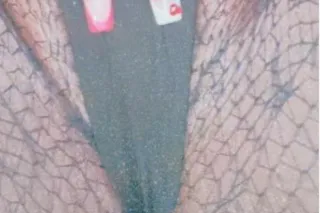 Creamyyyyy Candyyyyy Saturday ... - Image 3